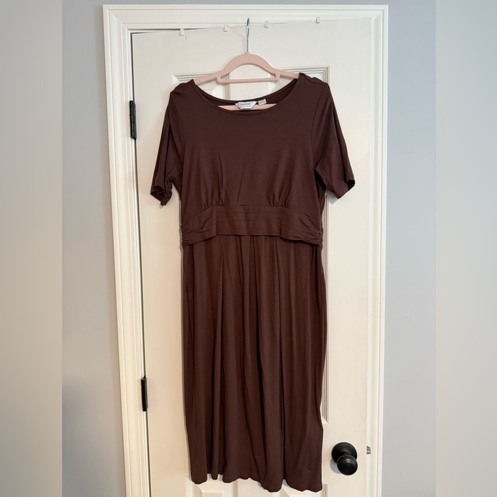 Seraphine Pleat Detail Maternity & Nursing Dress